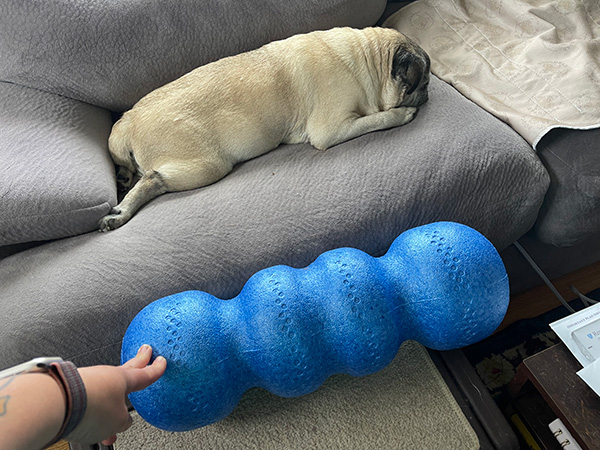 The Rollga foam roller feels much better than a regular foam roller and is roughly the size of an elderly pug